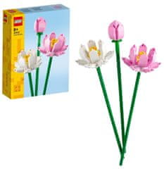 Botanicals 40647 Lotosovi cvetovi