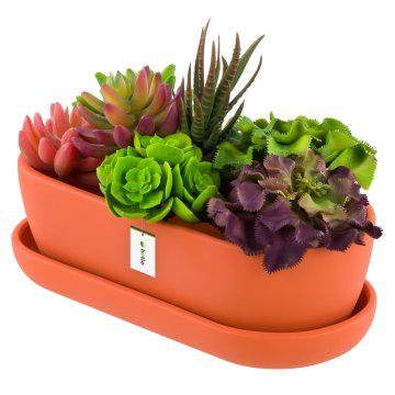 botle Keramični cvetlični lonec moderne barve Oranzna Matte 27,5 cm Ovalni lonec za kaktuse