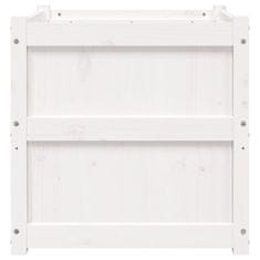 Vidaxl Vrtno cvetlično korito belo 60x60x60 cm trdna borovina
