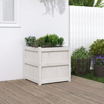 Vidaxl Vrtno cvetlično korito belo 60x60x60 cm trdna borovina