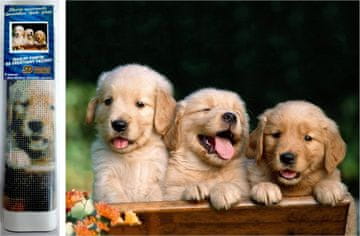 Norimpex Diamantna slika Cute trio 30x40cm