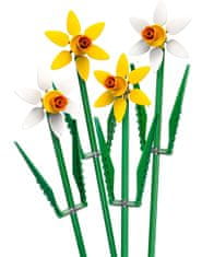 LEGO Botanicals 40747 Narcise