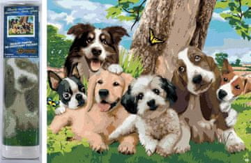 Norimpex Diamantna slika Happy dog gang 30x40cm