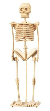 Lesena igrača, WCK 3D sestavljanka Skelet