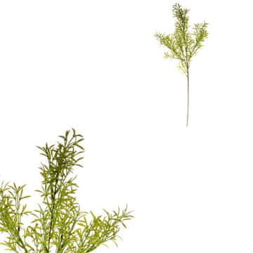 Autronic Šparglji, zelena barva, plastična roža plastike SG6034