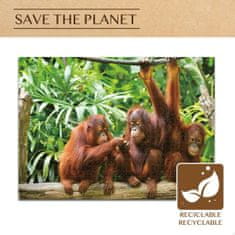 Colorbaby Sestavljanka Puzzle Colorbaby Orangutan 6 kosov 68 x 50 x 0,1 cm