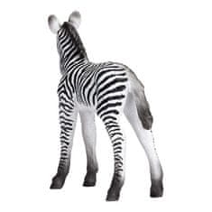 MOJO Zebra mladič
