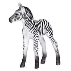 MOJO Zebra mladič