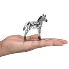 MOJO Zebra mladič