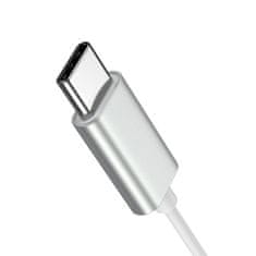 Joyroom JR-EC06 slušalke USB-C, srebro