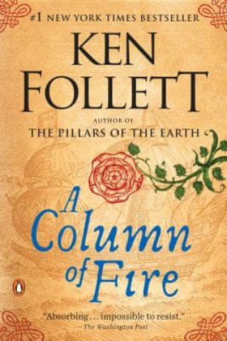 A Column of Fire : A Novel
