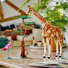 LEGO Creator 31150 Divje safari živali