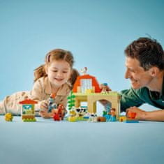 LEGO DUPLO 10416 Nega domačih živali