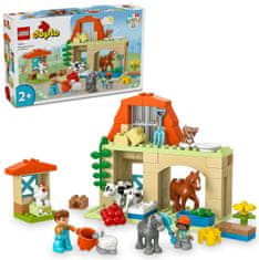 LEGO DUPLO 10416 Nega domačih živali