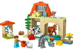 LEGO DUPLO 10416 Nega domačih živali