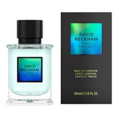 David Beckham True Instinct 50 ml parfumska voda za moške