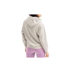 Champion Športni pulover 173 - 177 cm/L Hooded Sweatshirt