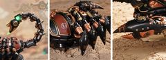 Robotime Rokr 3D sestavljanka Cesarski velemojster 123 kosov