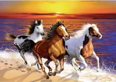 Wooden city Lesena sestavljanka Divji konji na plaži 2 v 1, 4000 kosov
