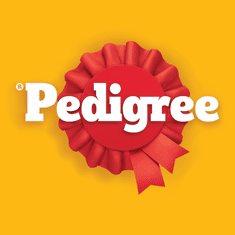 Pedigree prigrizki za nego zob DentaStix Fresh, 10x270g