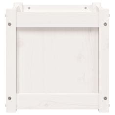 Vidaxl Vrtno cvetlično korito belo 40x40x40 cm trdna borovina