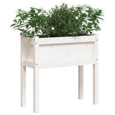 Vidaxl Vrtno korito z nogami belo 70x31x70 cm trdna borovina