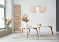 Toolight Stropna svetilka APP1376-1CP