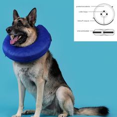 slomart regeneracijska ovratnica za pse kvp kong cloud modra napihljiv (33-46 cm)