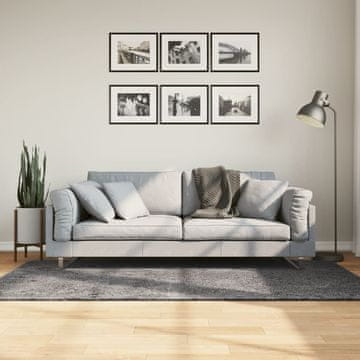 Vidaxl vidaXL Preproga HUARTE, nizek las, antracit, 120x170 cm