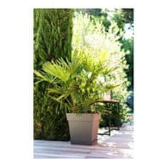 EDA Lonec za rastline EDA Tuscan Taupe Plastic Squared Ø 50 cm (49,5 x 49,5 x 52,5 cm)
