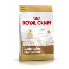 slomart krma royal canin labrador retriever junior 12 kg mladiček / mlajši koruza ptice