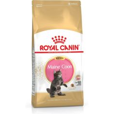 slomart hrana za mačke royal canin maine coon kitten piščanec ptice 4 kg