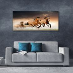tulup.si Slika na platnu Konji živali 125x50 cm