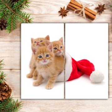 tulup.si Steklena podloga za rezanje Božični mačke Santa Claus