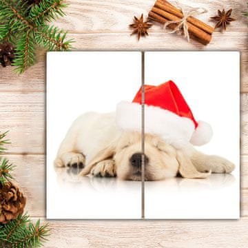 tulup.si Steklena podloga za rezanje Puppy Cap Santa Claus Zima
