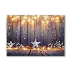 tulup.si Slika na platnu Božične zvezde Okrasne okraske 100x70 cm