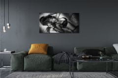 tulup.si Slika na platnu Ženski črno-belo 120x60 cm