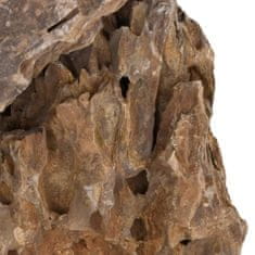 Vidaxl Zmajev kamen 10 kg mešane barve 10-30 cm