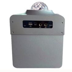 N-GEAR DISCO STAR 710S/ BT/ 50W/ USB/ MICRO SD/ DO/Disco LED/ 2x MIC / srebrna