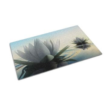 tulup.si Predpražnik Vodne lilije cvetje