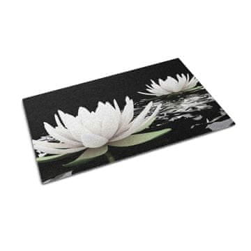 tulup.si Predpražnik Vodne lilije cvetje