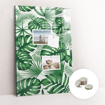 tulup.si Magnetna tabla Listi rastline monstera