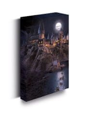 Epee Slika LED Harry Potter 30x40 cm - Grad Bradavičarka