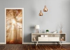tulup.si Samolepilni tapete na vratih Gozd v jeseni 85x205 cm