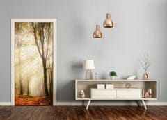 tulup.si Samolepilni tapete na vratih Gozd v jeseni 75x205 cm