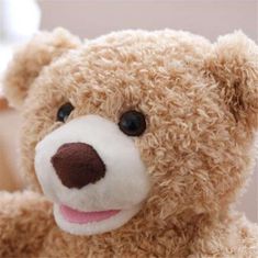 JOJOY® Interaktivna igrača medvedek, 28 cm | BARNIE
