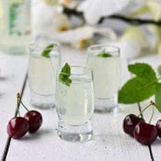 shumee Trpežni klasični kozarci za vodko 50 ml 6 kosov