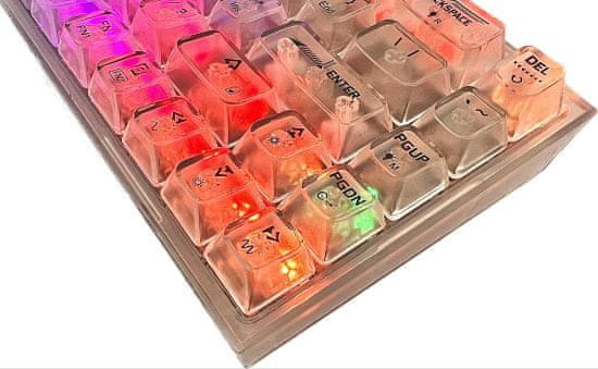 Redragon Castor Pro K631CT RGBagon Taipan Pro M810 RGB