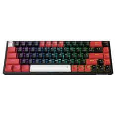 Redragon Castor K631 mehanska tipkovnica, RGB, žična/brezžična