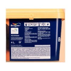 BigBuy Barva Bruguer Indija 4 L